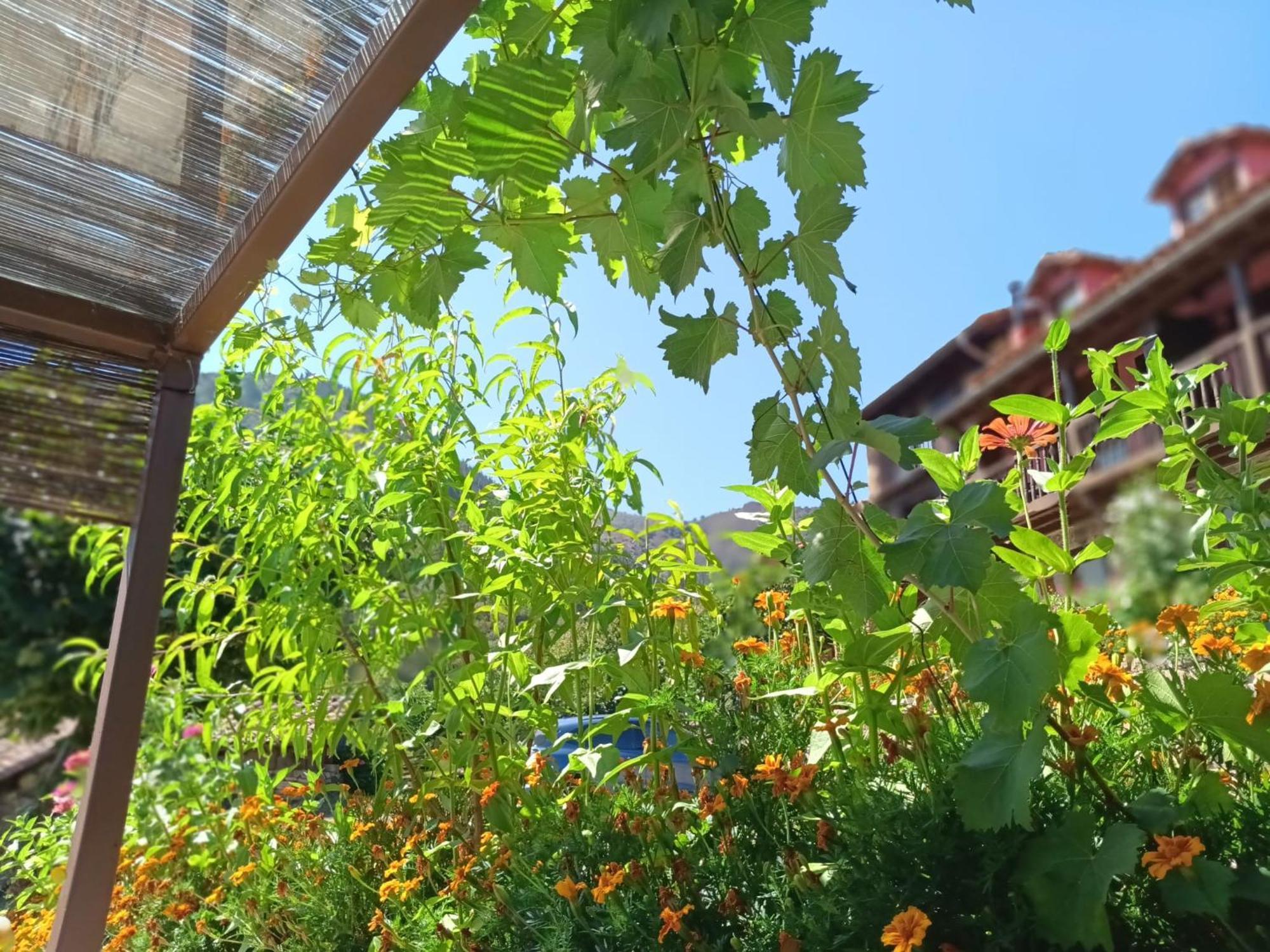 Apartamentos Calm & Nature - Adults Only Кабесон-де-Льебана Экстерьер фото